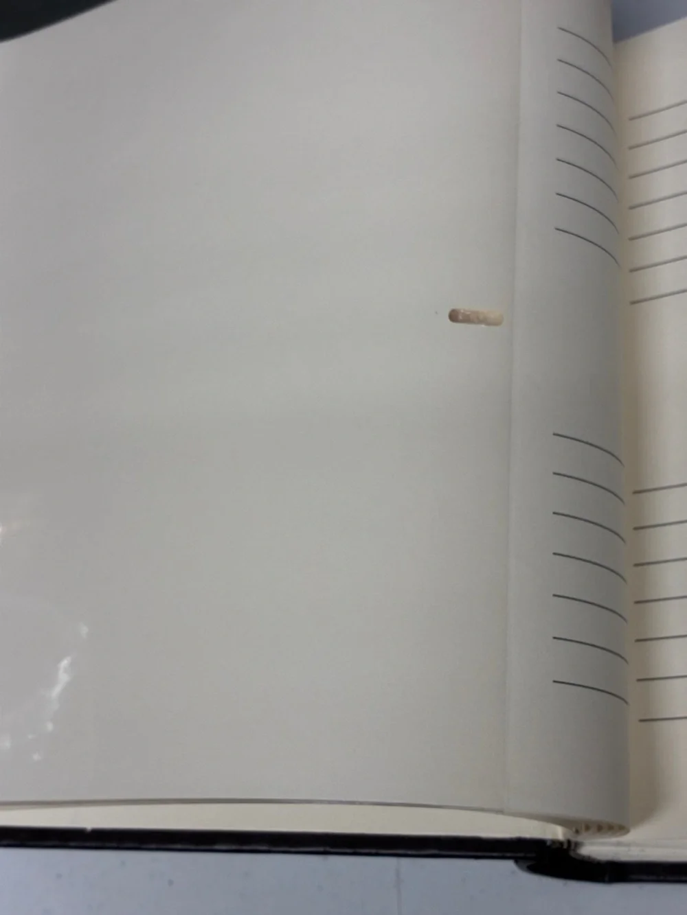 Brown Photo Album with Center Window